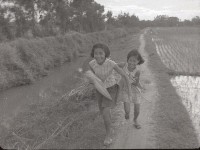 1950至2006年臺灣常民生活藏品圖，第1張
