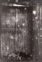 1950至2006年臺灣常民生活藏品圖，第1張
