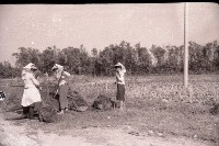 1950至2006年臺灣常民生活藏品圖，第1張
