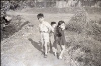 1950至2006年臺灣常民生活藏品圖，第1張