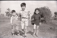 1950至2006年臺灣常民生活藏品圖，第1張