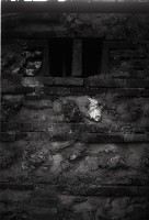 1950至2006年台灣常民生活藏品圖，第1張