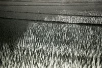 1950至2006年台灣常民生活藏品圖，第1張