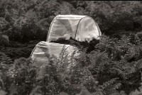 1950至2006年台灣常民生活藏品圖，第1張