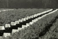 1950至2006年台灣常民生活藏品圖，第1張