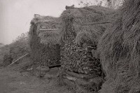 1950至2006年台灣常民生活藏品圖，第1張