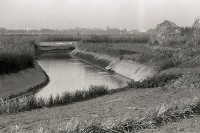 1950至2006年台灣常民生活藏品圖，第1張