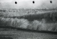1950至2006年台灣常民生活藏品圖，第1張