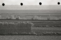 1950至2006年台灣常民生活藏品圖，第1張