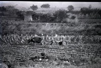 1950至2006年台灣常民生活藏品圖，第1張