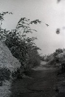 1950至2006年台灣常民生活藏品圖，第1張