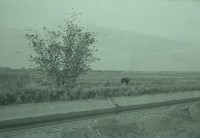 1950至2006年台灣常民生活(No:574 黑)藏品圖，第1張