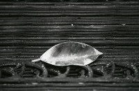 1950至2006年台灣常民生活藏品圖，第1張