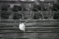 1950至2006年台灣常民生活藏品圖，第1張