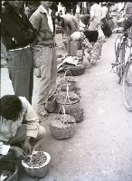 1950至2006年台灣常民生活(No:141 /133-1 ? 黑)藏品圖，第1張