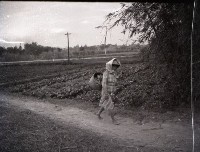 1950至2006年台灣常民生活藏品圖，第1張