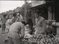 1950至2006年台灣常民生活藏品圖，第1張