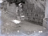 1950至2006年台灣常民生活藏品圖，第1張