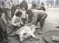 喜宴殺豬（1950至2006年臺灣常民生活）藏品圖，第1張