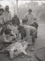 1950至2006年台灣常民生活藏品圖，第1張