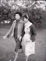 1950至2006年台灣常民生活藏品圖，第1張