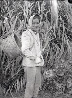 1950至2006年臺灣常民生活藏品圖，第1張