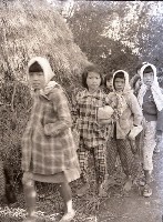 1950至2006年台灣常民生活藏品圖，第1張