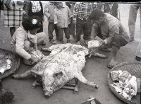 1950至2006年台灣常民生活藏品圖，第1張