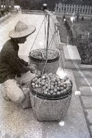 1950至2006年台灣常民生活藏品圖，第1張