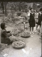 1950至2006年台灣常民生活藏品圖，第1張