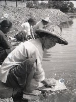 1950至2006年台灣常民生活藏品圖，第1張