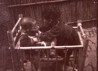 1950至2006年台灣常民生活藏品圖，第1張