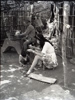 1950至2006年台灣常民生活藏品圖，第1張