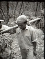 1950至2006年台灣常民生活藏品圖，第1張
