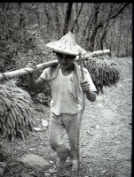 1950至2006年台灣常民生活藏品圖，第1張