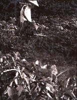 1950至2006年台灣常民生活藏品圖，第1張