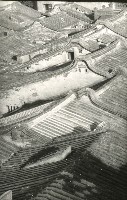 1950至2006年台灣常民生活藏品圖，第1張