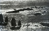 1950至2006年台灣常民生活藏品圖，第1張