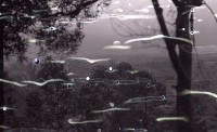 1950至2006年台灣常民生活藏品圖，第1張