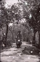 1950至2006年台灣常民生活藏品圖，第1張