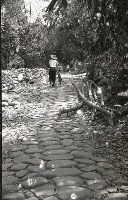 1950至2006年台灣常民生活藏品圖，第1張