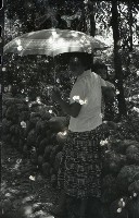 1950至2006年台灣常民生活藏品圖，第1張