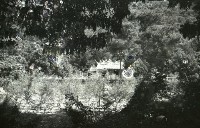 1950至2006年台灣常民生活藏品圖，第1張