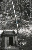 1950至2006年台灣常民生活藏品圖，第1張