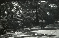 1950至2006年台灣常民生活藏品圖，第1張