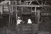 1950至2006年台灣常民生活藏品圖，第1張