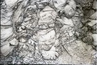 1950至2006年台灣常民生活藏品圖，第1張