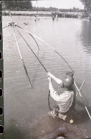 1950至2006年台灣常民生活藏品圖，第1張