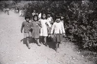 1950至2006年台灣常民生活藏品圖，第1張