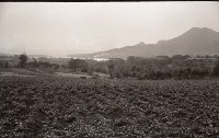 1950至2006年台灣常民生活藏品圖，第1張